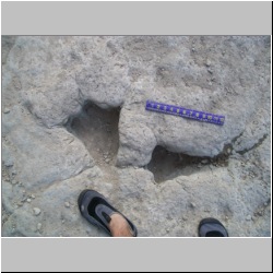 100_0395 (2009-26-07).JPG